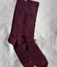 Chaussettes bordeaux - Lama